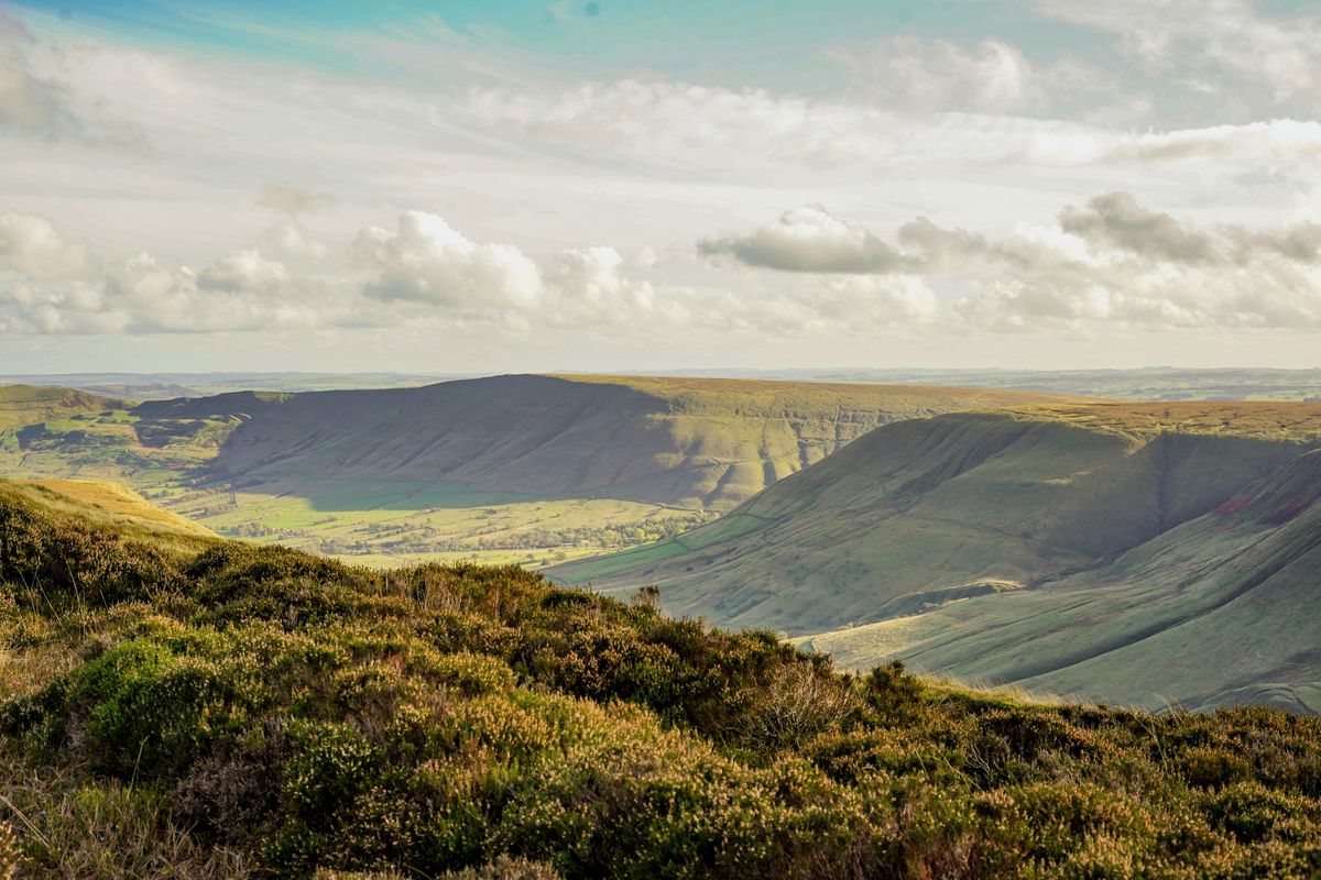 Heather moorland in the Peak District